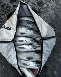 453735792 18359966821109335 7016552071165088055 n