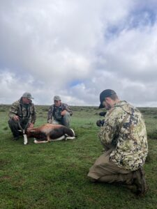 Camera work in africa