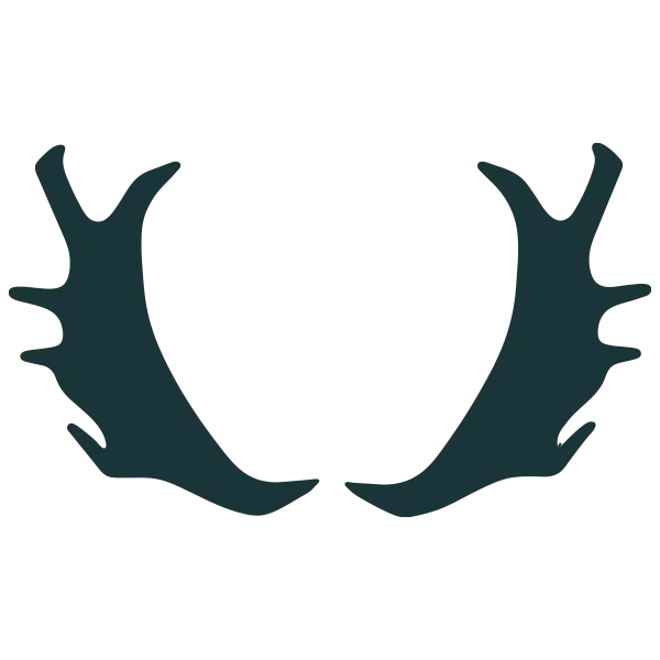 antlers