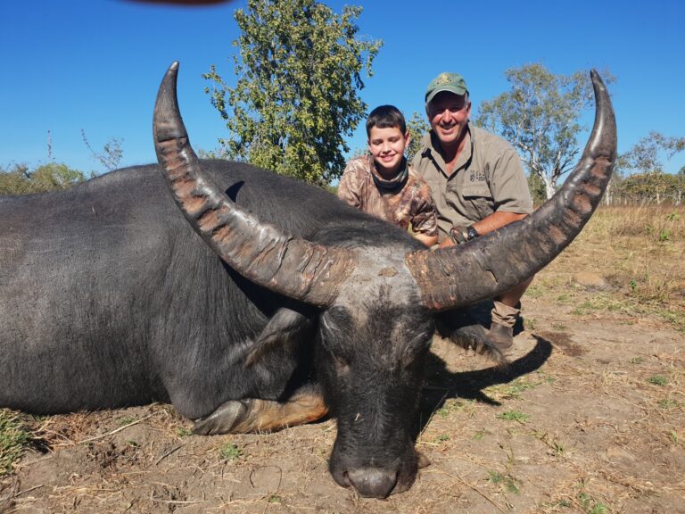 Australian Buffalo