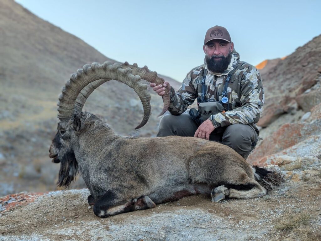 Mongolia Ibex