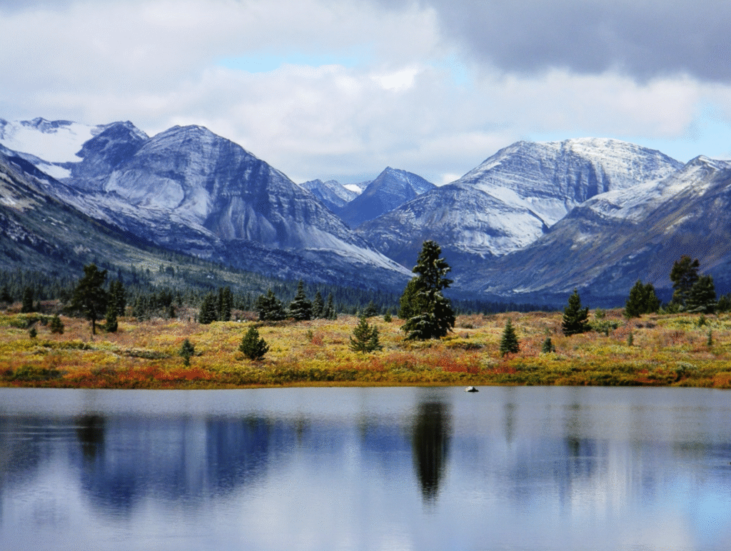 6419c264bb5a483221876ace love brothers 8