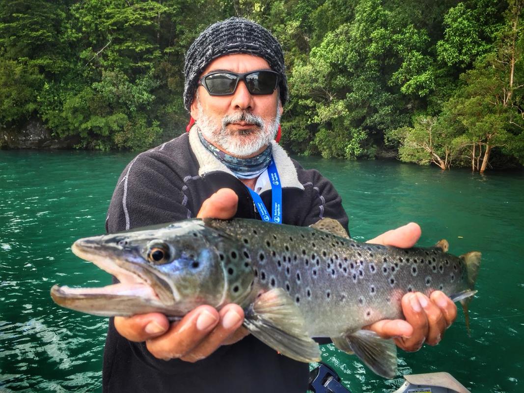 6419c264bb5a485cc2876b23 chucao 2