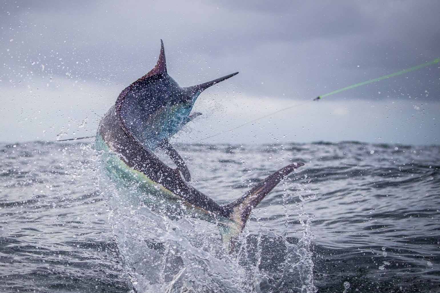 6419c264bb5a487fa7877091 new 9s