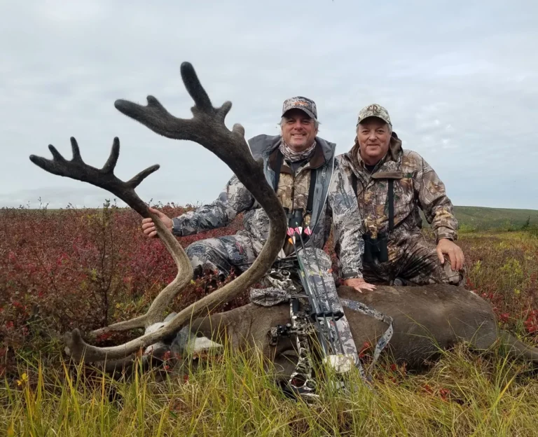 6419c264bb5a48fa63876a7f alaska arctic 5