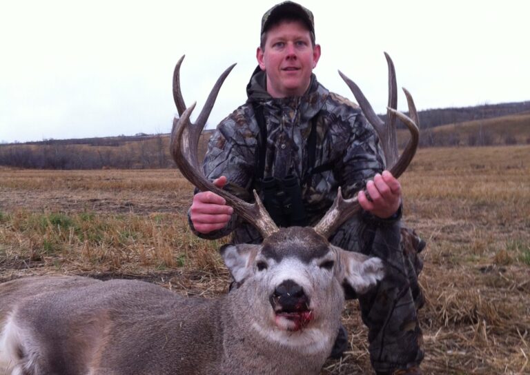 648a142d530494888687de4e a595ab0d 1de0 414d a494 ce1f43c1d372