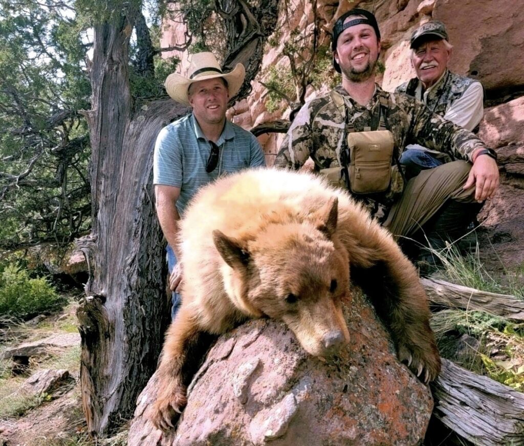 64bfedbfbd8501f6ee52e96b 54264fdb 7878 43fa 9f99 29891afc7f74