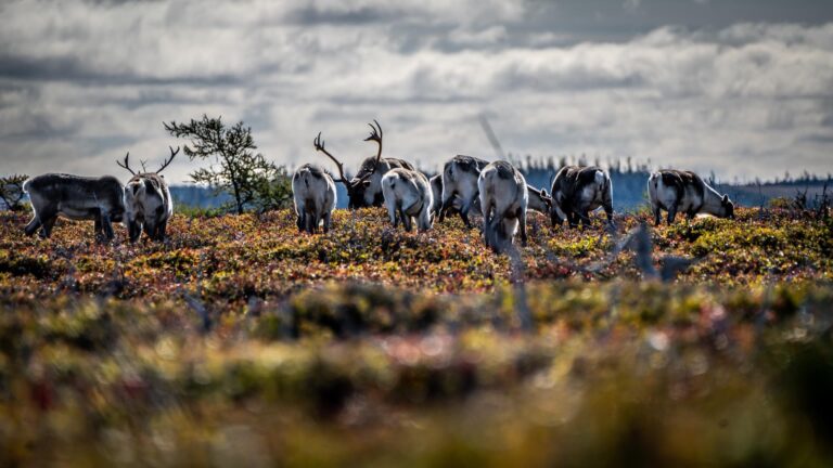 64bffa2deb372694cebc862f 2981320a 9728 4f2b 8e9c 39c9002d50d1