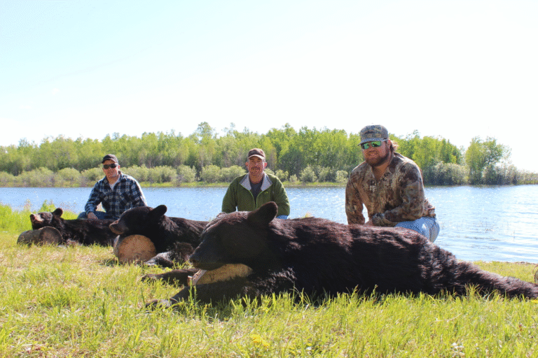 64c15cac5ebf8b795f215912 58694b97 c7b2 4e4d 9473 3159d791bd9a