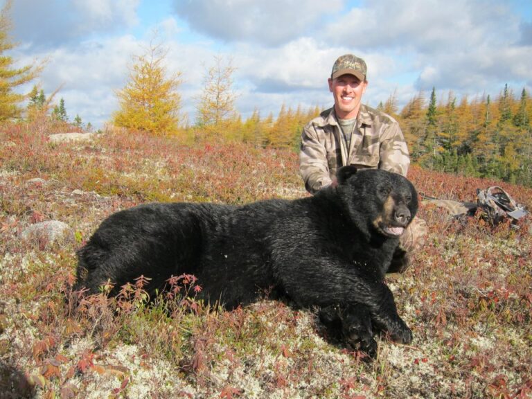 64c92a7c73d64232cb4d3ac9 74fdefec 3e30 468c b9dc b722f2fce4b0