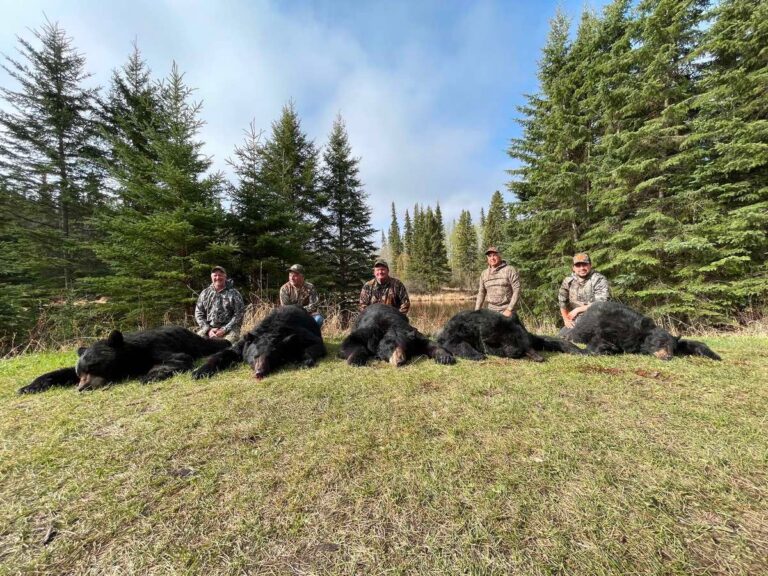 64d2e8db282ce12a4bcbf5f6 ab9fd273 de3c 4d40 8a61 8dd01b51d53f