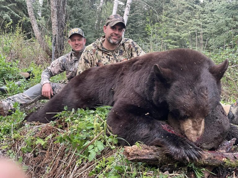 64da71a85409cc678236086a a66da229 42e3 43da 90a0 94268c706672