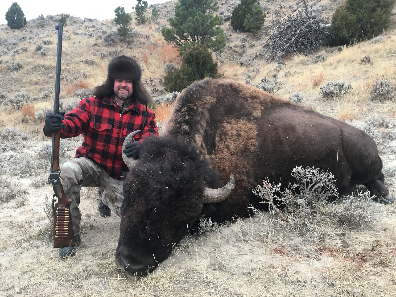 64dba48c5ed273e75c7ce0dd 4b59ebac 8188 47bf bd3b 4f3b50b69649