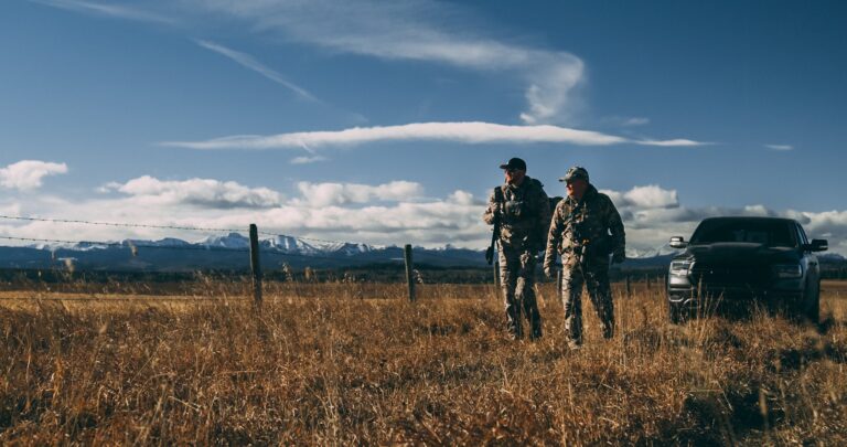 65258c503e11c8a38de1815d 281a12d5 d51e 49a9 a96c 79cc4b4cfaa5