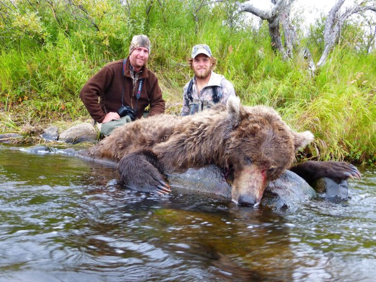 658303cdd2c9c09bbfab510c ee10d844 81bc 4376 9d0f b1ae1c01947d