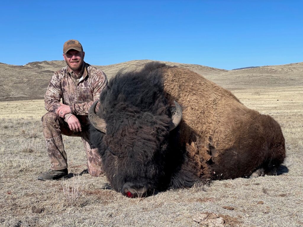 6596e32302f47727d237e709 b9c60918 25e1 42fc 8fbf a00a6b3e8d76