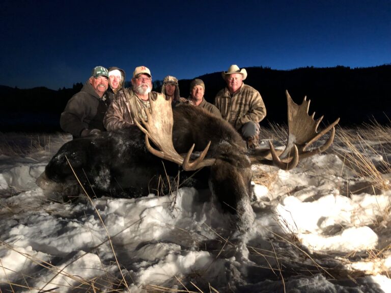 65ea1273a3bfd04fbd9afcf7 d6043646 d50e 47d8 9560 37dc5fcf6997