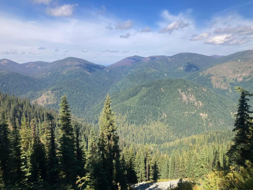 6600d4115fa4e4dec9310dbe b3a259c2 df8a 4c76 b4c2 046ff5309d51