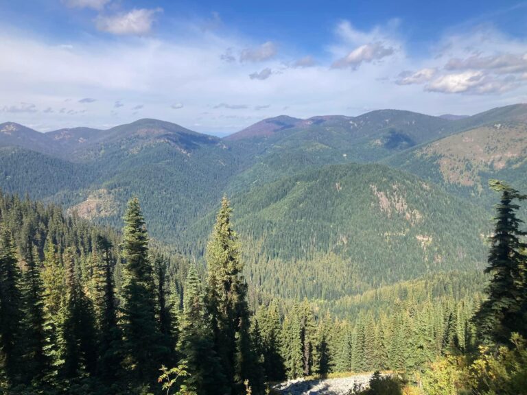 6600d4115fa4e4dec9310dbe b3a259c2 df8a 4c76 b4c2 046ff5309d51