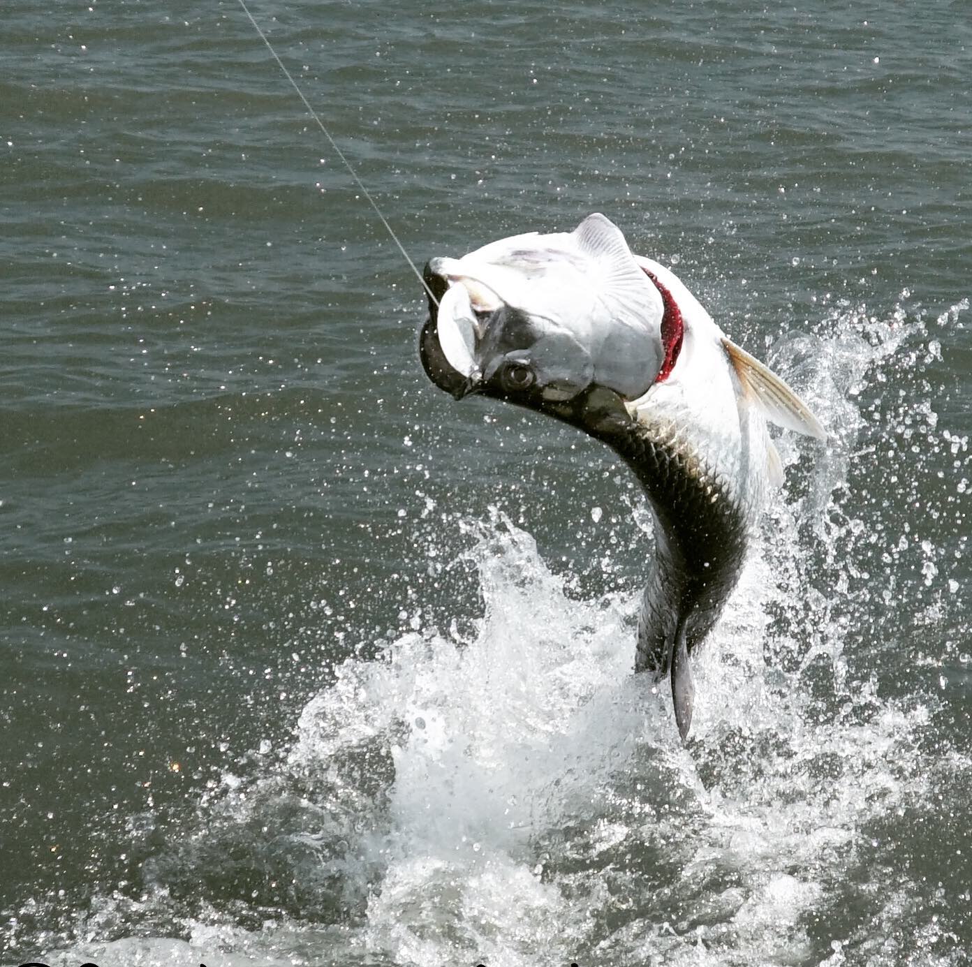 66317c2d44866b89f4e6d5da 14e11ea1 eb90 44f0 83ed d559b6eaf6bc