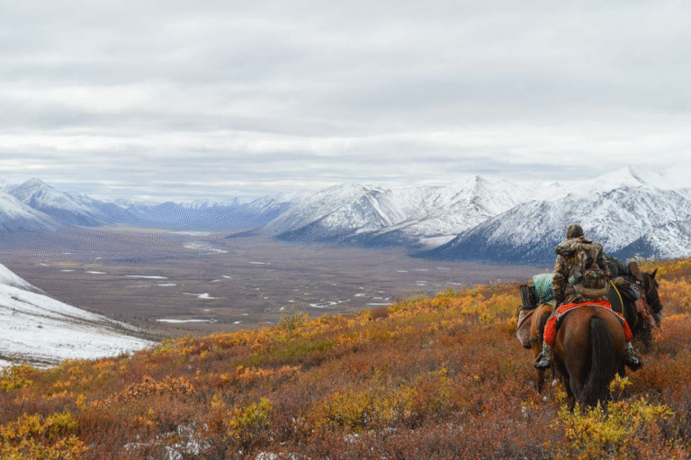 663e8c22865ec44ce508bb07 8b2ee286 0827 4192 8f99 a01404483099