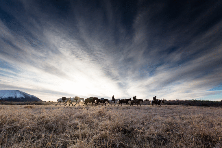 664276ae01d03eabe044afe7 85c820a5 6eb0 4633 85cd b26cd2b6606e