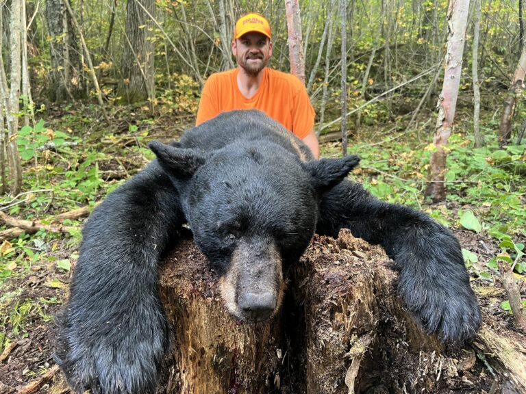 6642884ce7b5f3d32f22e33f e761049f 4206 4b26 bc75 d3a3e2f6dbe0