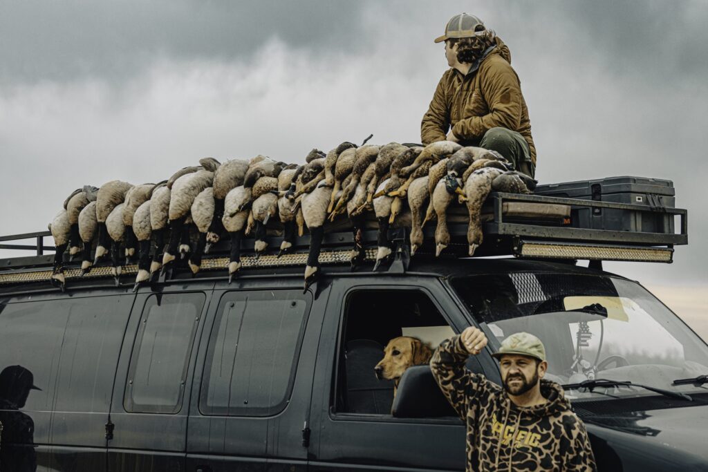 6786d6d30132bcf85871af2a cloud 9 111 1 scaled