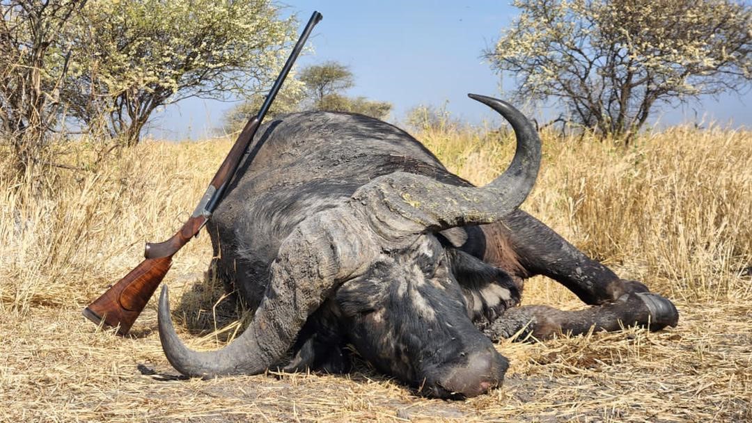 6793c42b36dd5bc438d0ebcf 2