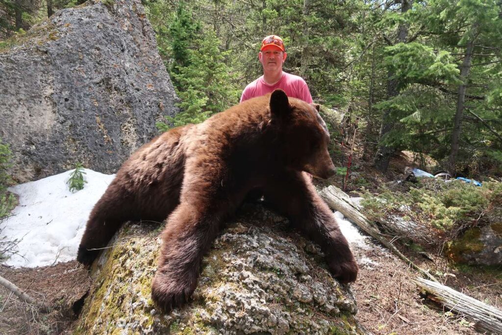 679bec7f0979984d199005e8 south fork bear 2022