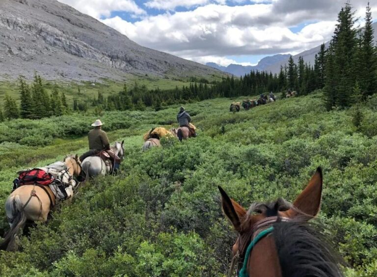 68190a77e4a93b6ae5c943bc screenshot 2025 05 05 125045