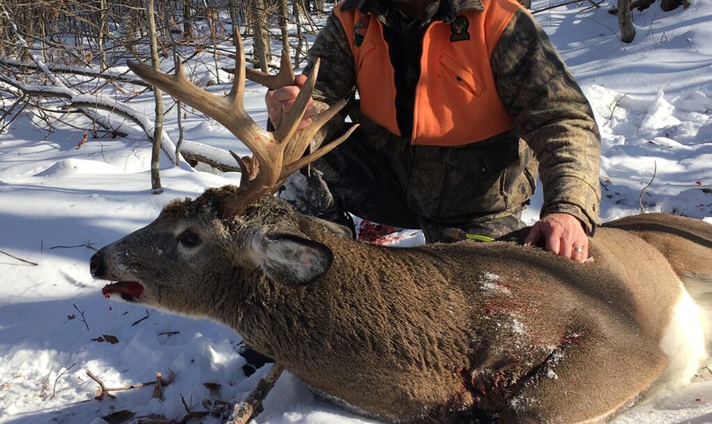 682f431cb2300b83e2e3a77d jake