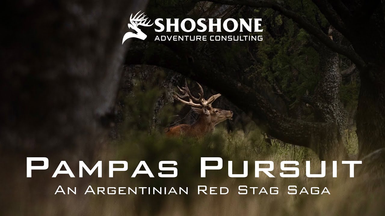 Pampas Pursuit | An Argentinian Red Stag Saga