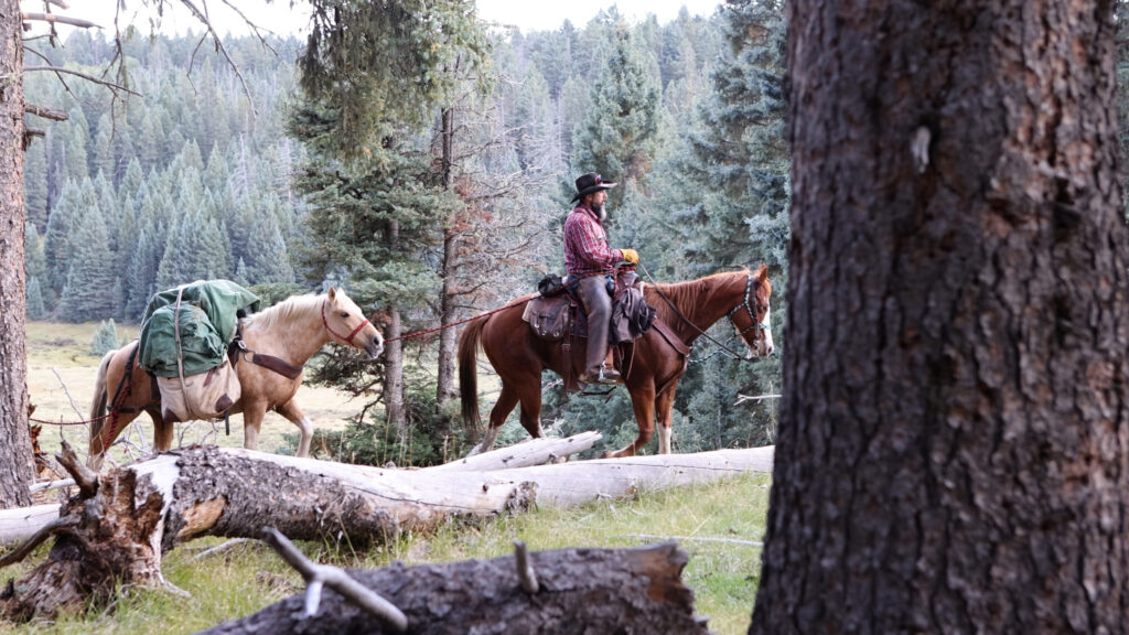 615A4069.MP4.19_10_39_29.Still001