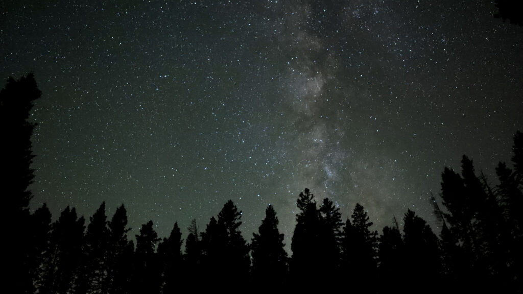 615A4110.MP4.00_00_12_10.Still001