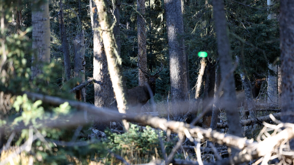 615A4264.MP4.19_50_29_30.Still001