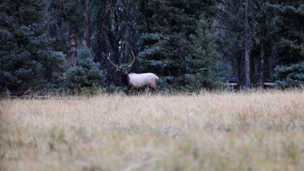 615A4308.MP4.20_03_31_55.Still001