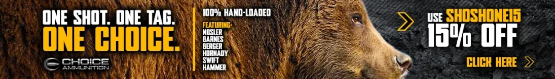 Shoshone Adventure Consulting: Choice Ammunition